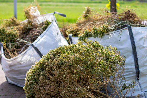 Best Furniture Removal Near Me  in Baxter Village, SC