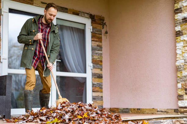 Yard Cleanup Services in Baxter Village, SC